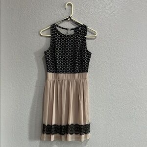 En Focus Studio Dress size 6 Elegant Black and Tan Sleeveless Dress Mini Whimsy